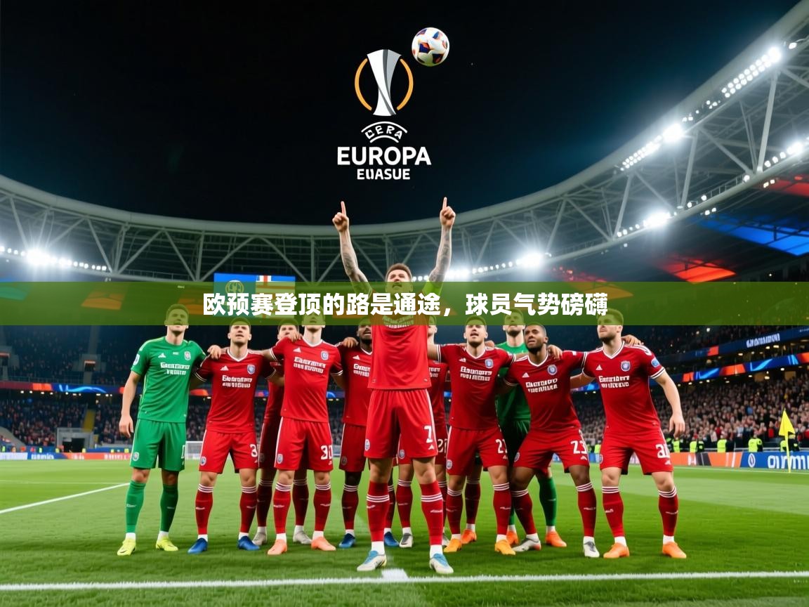 2026 意昂体育平台是干什么的欧预赛登顶的路是通途,球员气势磅礴 第1张